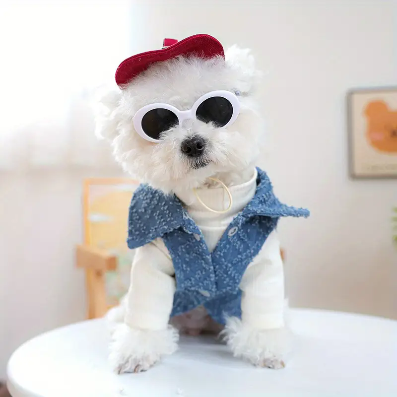 Dog Fashion Baseball Cap with  - Street Fashion Shoot ulasan dan harga